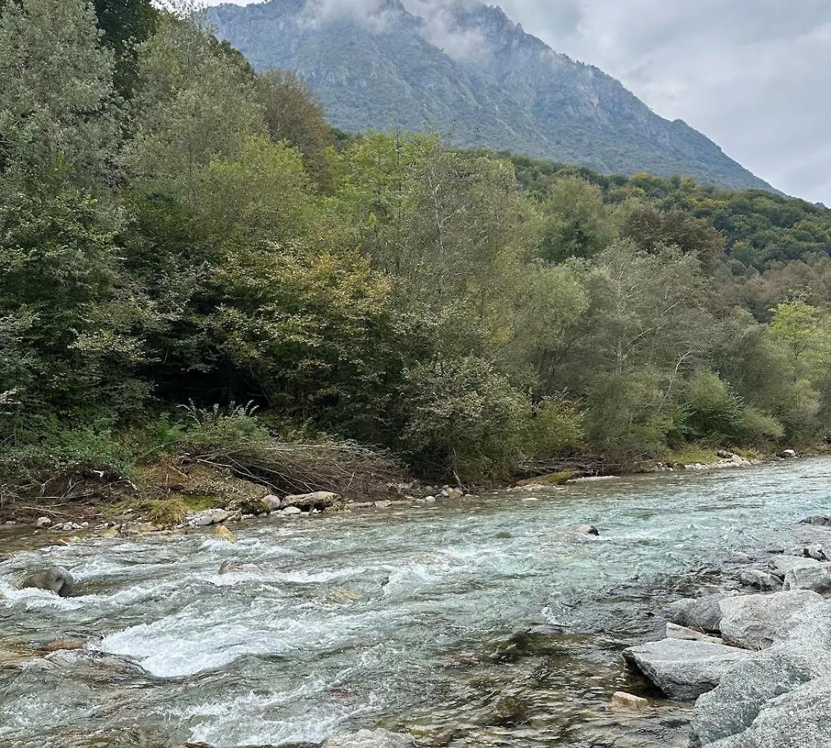 Casa Verde Valsassina 2 Primaluna Апартаменты